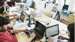 программисты