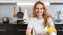 домогосподарка