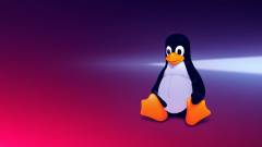 Linux