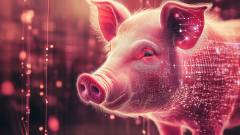 свині та штучний інтелект
