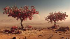 яблони на Марсе