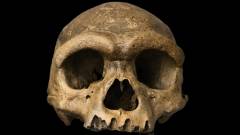 череп прадавньої людини