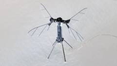 китайський мініатюрний дрон