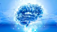 схематичне зображення мозку