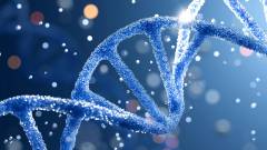 схематичне зображення ДНК