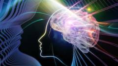 голова і мозок