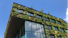 сучасний будинок з озелененням